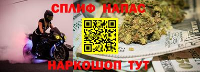 гидропоника Пугачёв