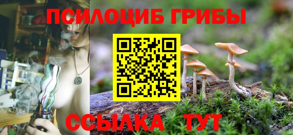 Обь  Галлюциногенные грибы GOLDEN TEACHER  Вход с VPN 